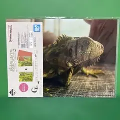 Item thumbnail for item 5438e9d2-d80e-4c12-8b61-9dbbc561364d