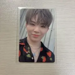 An ode ウジ トレカ