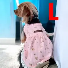 かわいい♡　花柄コットン犬服 小型犬用 レース付き