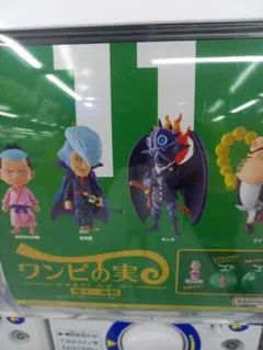 ガチャワンピの実　第11海戦　クィーン