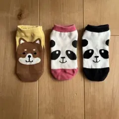 靴下屋　子供靴下　子供ソックス　3足まとめ売り