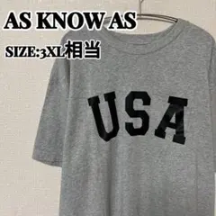 AS KNOW AS Tシャツ 半袖 USA ロゴプリント ビッグサイズ グレー
