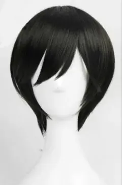 あんさんぶるスターズ!! あんスタ 氷鷹北斗 コスプレ ウィッグ