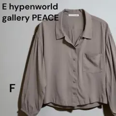 【E hyphen PEACE／イーハイフン】ブラウス F 色あせ訳あり 袖ゴムのサムネイル