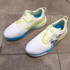 新作！！シャドウキャットキャットディスク2.0　25.5 室内履きのみ