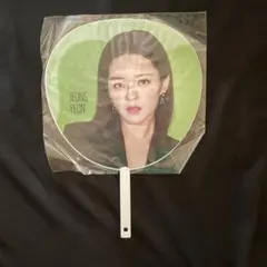 TWICE TWICELIGHTS 2019 うちわ ジョンヨン