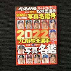 Item thumbnail for item 3ad2779f-8058-46a8-a890-f0b2cfdf76dd