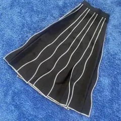 chang guang yz 波状ストライプのフレアスカート ブラック　プリーツ