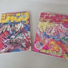 週刊少年ジャンプ 1991年21・22合併 創刊50周年 ドラゴンボール 復刻版