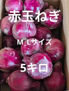 赤玉ねぎ M〜L サイズ 箱込み 5 キのサムネイル