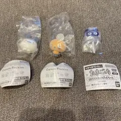 たまごっち　カプセルフロッキーズ　めめっち　みみっち　カラフルキャンディチャーム