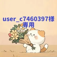 user_c7460397様　専用(9/18迄)