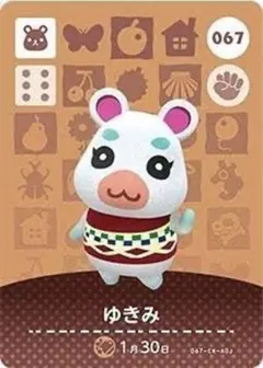 ゆきみ トレーディングカード 067 アミーボ　あつ森
