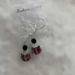 luna様用限定　 ハンドメイド猫ピアス