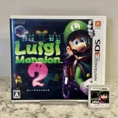 3DS ルイージマンション2 ケース付 ソフトあり 取説なし