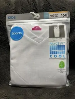 Item thumbnail for item f3686d4b-0a51-4d1e-87ca-d0a8ef9f31dc