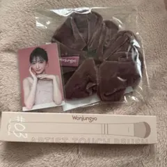 ウォンジョンヨ 野口衣織 トレカ ベロアシュシュ ブラシ おまけ付き