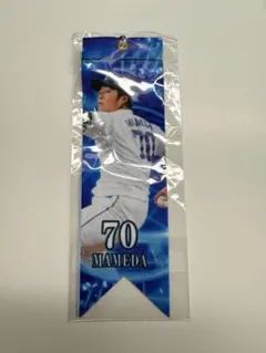 埼玉西武ライオンズ 豆田泰志投手 ボンフィン