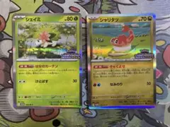 【引退品】シェイミ　シャリタツ　チャンピオンシップシリーズ2025/2026