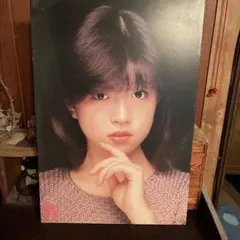 昭和レトロ】斉藤由貴 木製写真パネル B2サイズ相当【当時物】 - メルカリ