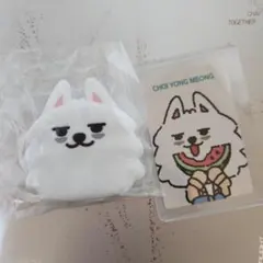 TXT プルバトゥ ヨンモン メジャー トレカ