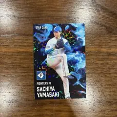 プロ野球チップスカード 2025年 【北海道日本ハムファイターズ】