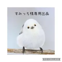 【花苗】宿根・銀葉・這性金魚草　シルバーライトピンク 挿し木苗　お花付きのサムネイル