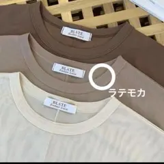 BLATE シアーメッシュTシャツ ラテモカ