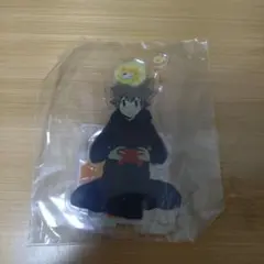 【家庭教師ヒットマンREBORN!】アクリルスタンド【沢田綱吉】