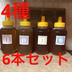 1日1セット限定【非加熱・生はちみつ】1000g×6本セット