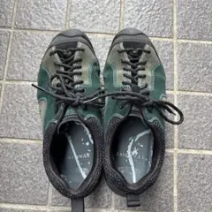 Item thumbnail for item 2d464f9b-e3f0-4e8a-8f23-6d7d26f56abd