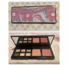 エスティローダーピュアカラーエンヴィアイシャドウ6色&チーク2色☆新品未使用☆