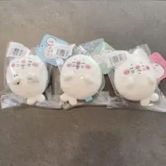 ナガノの水族館アザラシぬいぐるみくじ3個セット