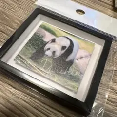 Item thumbnail for item 0af4d395-5f1e-4043-94b7-7301df8be894