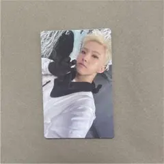 SEVENTEEN sector17 ホシ トレカ