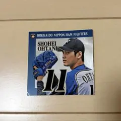2026年最新】キラ 大谷の人気アイテム - メルカリ