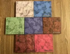 ENHYPEN THE SIN VANISH FUGITIVES 特典トレカ付き