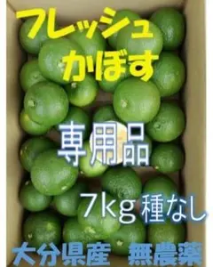 ピコさまご予約専用 大分県名産 フレッシュかぼす 7kg 種なし