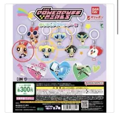 パワーパフガールズ　めじるしアクセサリー2