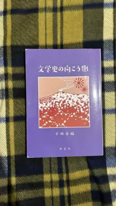まいまい様専用 文学史の向こう側 平林香織
