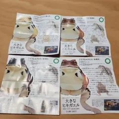 Item thumbnail for item 953ed8cd-a94d-404a-9e58-5590895a8a79