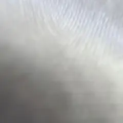 ウィッグ