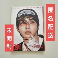 Stray Kids KARMA アコーディオンver 新品未開封 ハン