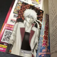 【初版帯・特典付き】銀魂(ぎんたま)28巻・おまけ26巻セット