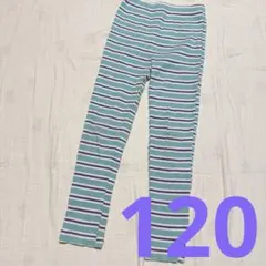 しまむら micorrid チマジロ ボーダー レギンスパンツ 120