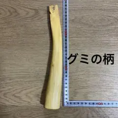 Item thumbnail for item 876b8bb1-4f5c-4fc1-bb2e-c9dd48a4b198