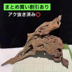 流木 大サイズ A800 ホーンウッド - メルカリ