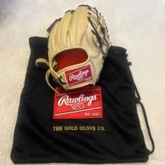 Rawlings NP6FS 特別オーダー ジュテルレザーフィニッシュエアシャー