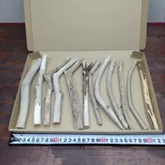 鹿の角 エゾ鹿の角 鹿ツノ 円柱状 DIY 端材 詰め合わせ 0904 - メルカリ
