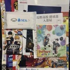 ハイキュー ファンパーク 入場記念品 ノベルティ